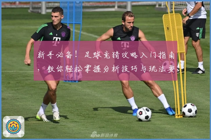 新手必备！足球竞猜攻略入门指南，教你轻松掌握分析技巧与玩法要点